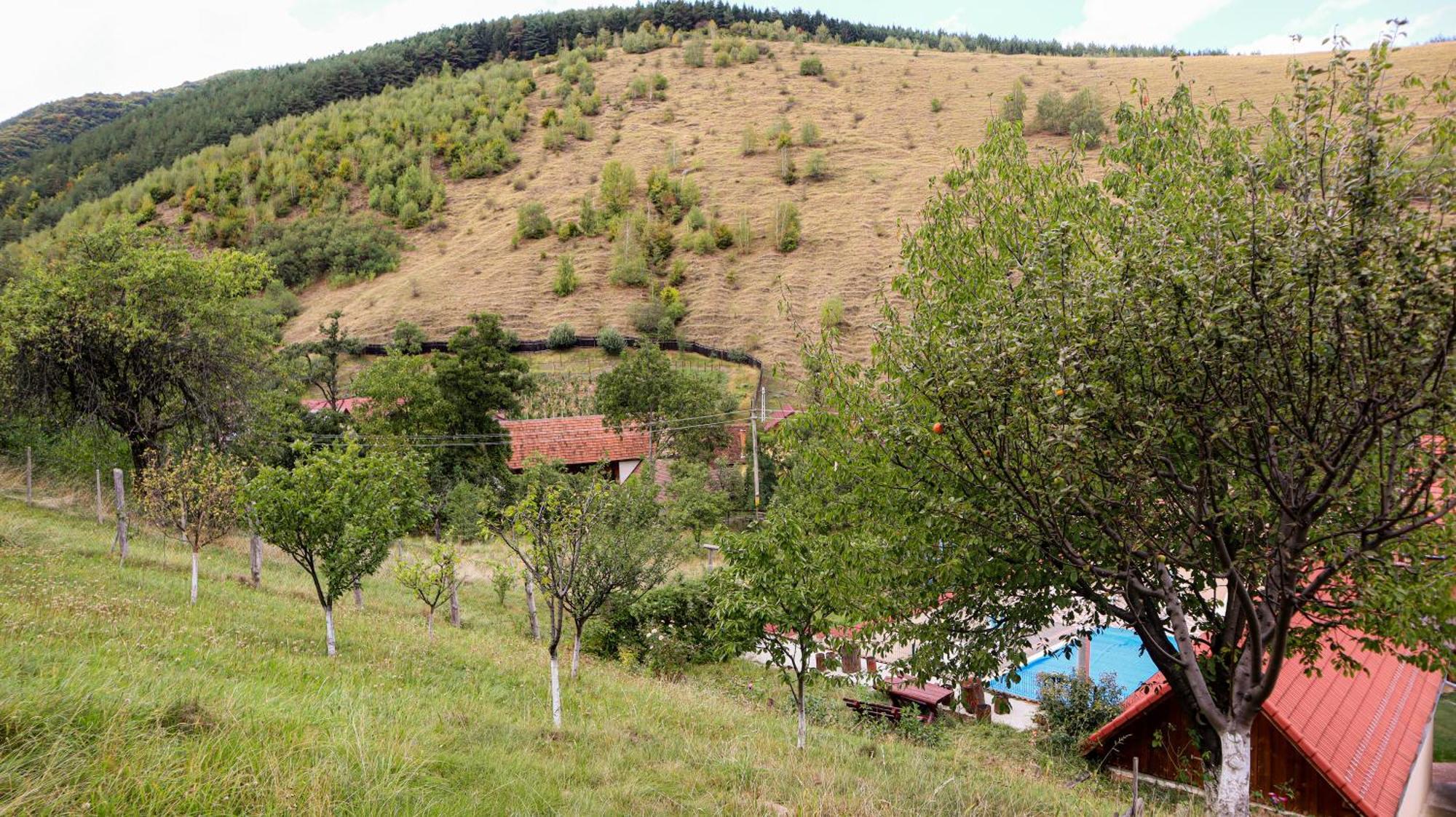 Marginimea Sibiului - Pensiunea Darian & David Orlat Exterior photo